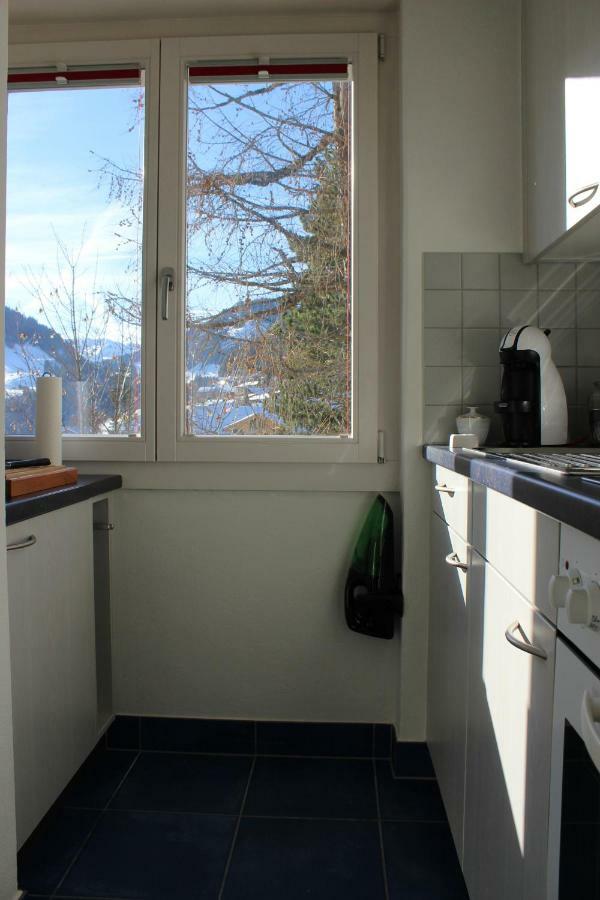 The Engstligen Apartment Adelboden Luaran gambar