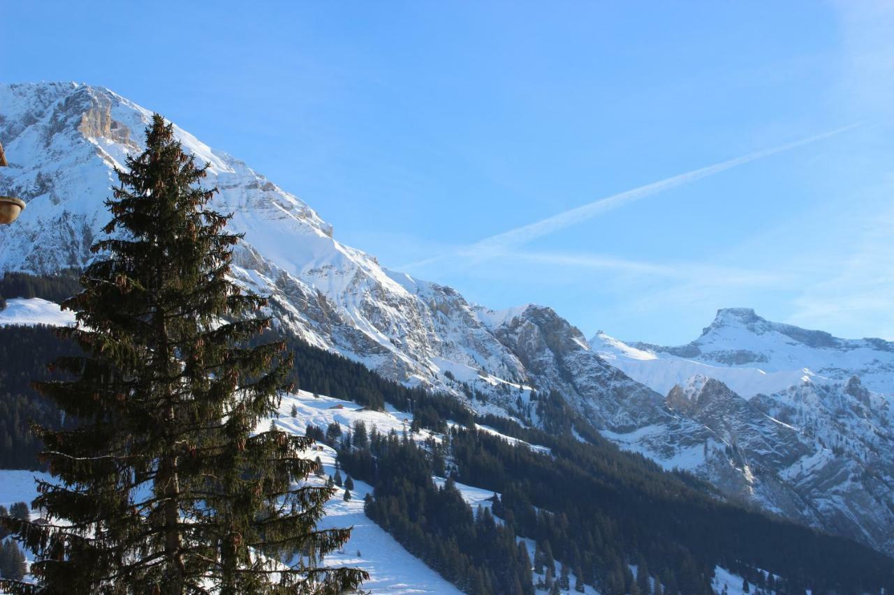 The Engstligen Apartment Adelboden Luaran gambar