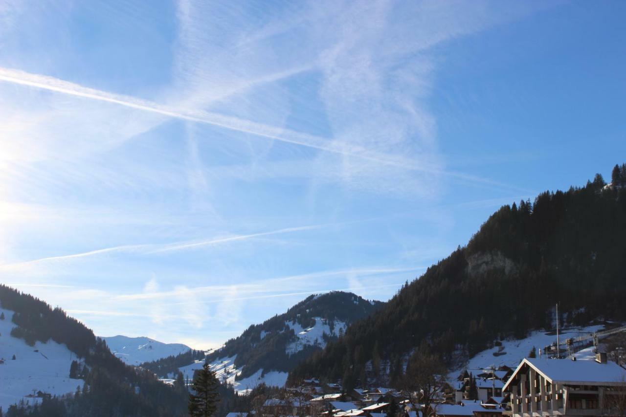 The Engstligen Apartment Adelboden Luaran gambar